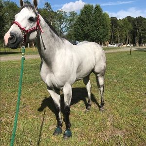 Meet your Posher, Juan jose